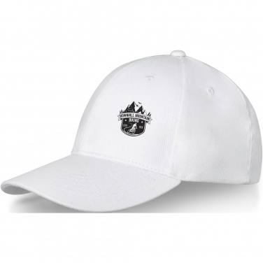 Logo trade promotional gifts picture of: Davis 6 panel cap