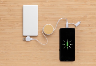 Logotrade promotional giveaway picture of: RCS recycled plastic Ontario 6-in-1 retractable cable