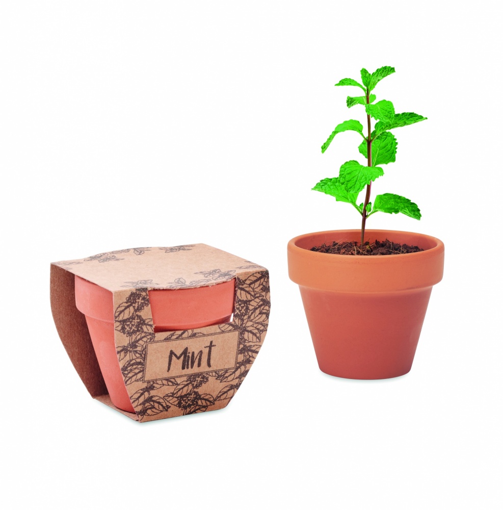 Logo trade promotional merchandise picture of: Terracotta pot mint seeds