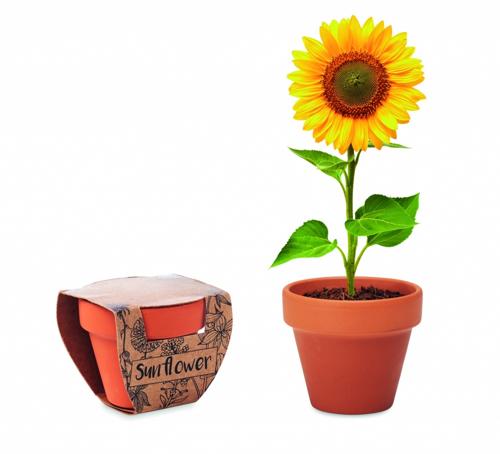 Logo trade advertising products image of: Terracotta pot 'sunflower'