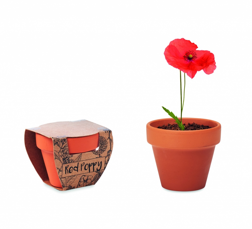 Logotrade advertising product image of: Terracotta pot 'poppy'