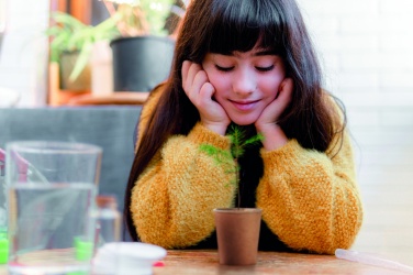 Logotrade promotional merchandise picture of: Pine tree set