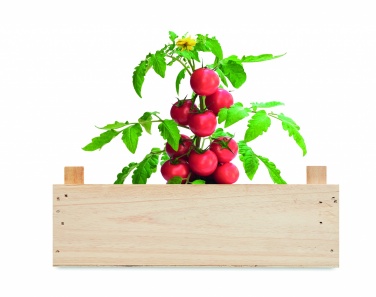 Logotrade corporate gift picture of: Tomato kit in wooden crate