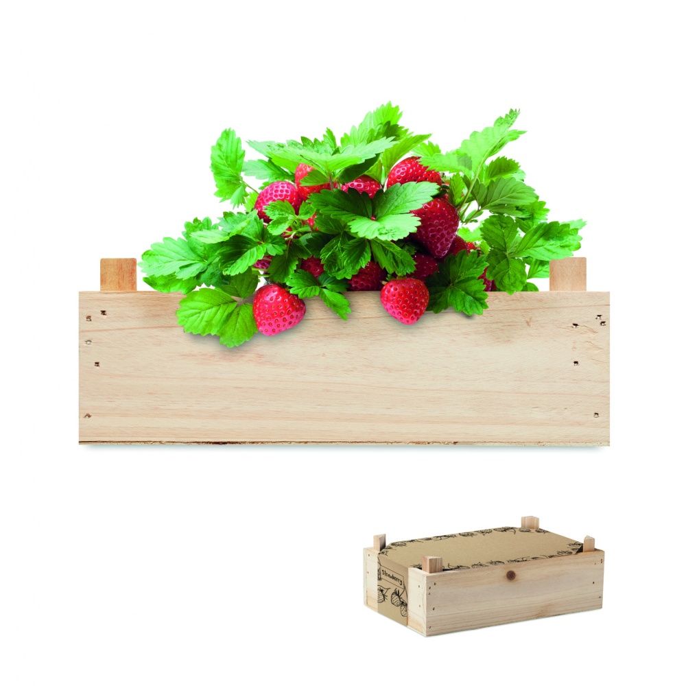 Logo trade promotional merchandise photo of: Strawberry kit in wooden crate