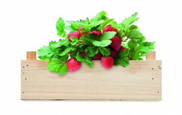 Logotrade advertising product image of: Strawberry kit in wooden crate