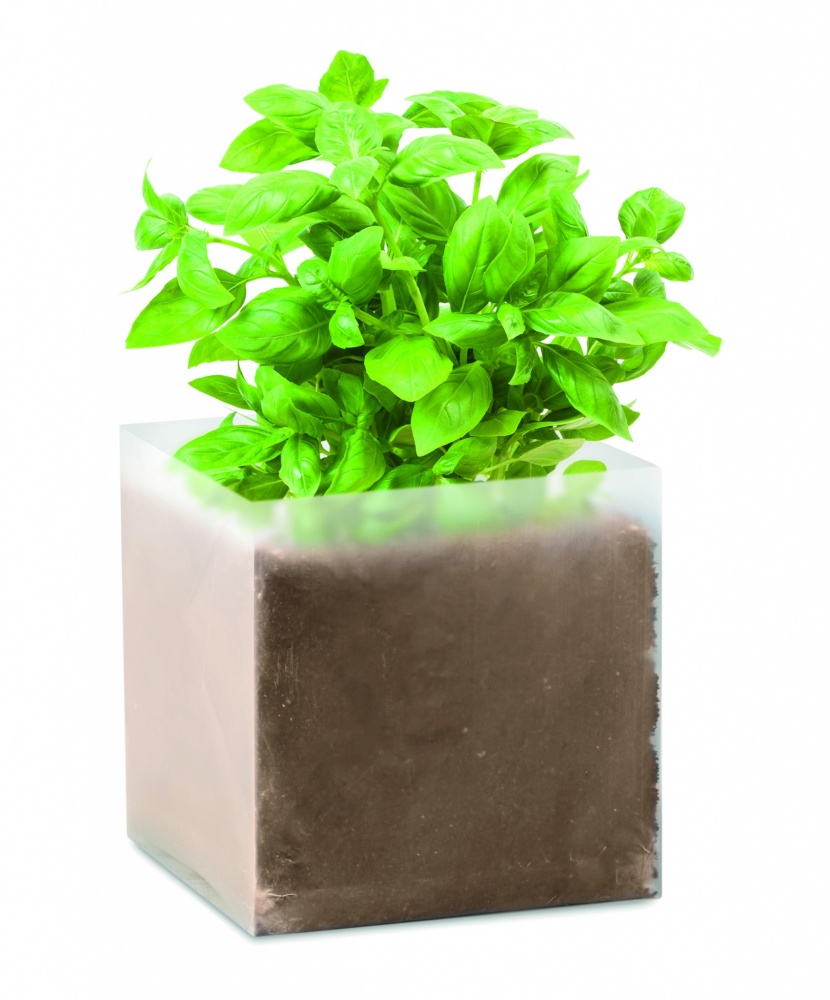 Logotrade promotional merchandise photo of: Compost with seeds "BASIL"