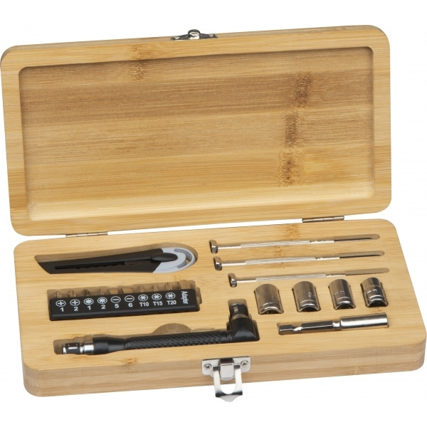 Logo trade promotional merchandise image of: 22-piece tool set BERINGEN
