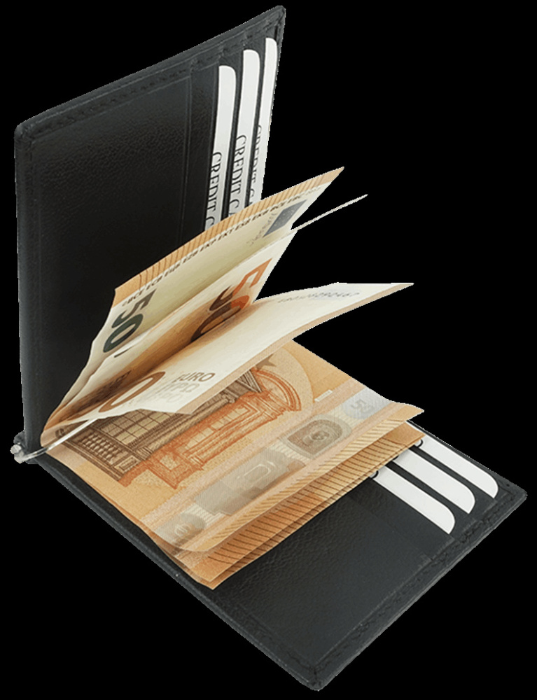 Logo trade promotional product photo of: Wallet 38005200