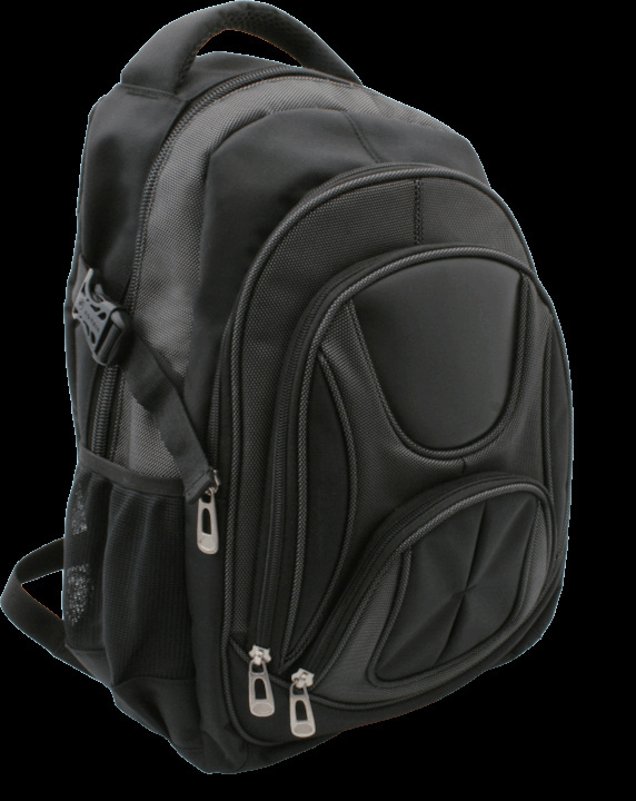 Logotrade promotional merchandise picture of: Laptop backpack 69903400