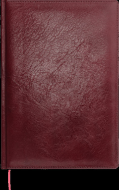 Logotrade promotional gifts photo of: Calendar 645131