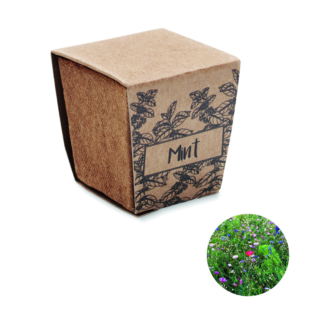 Logo trade promotional gifts picture of: Mint seeds growing kit