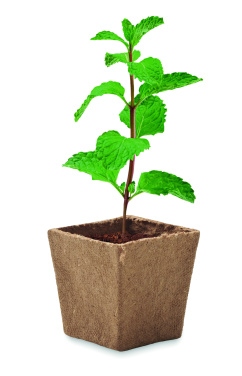 Logo trade promotional giveaways image of: Mint seeds growing kit