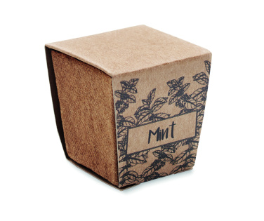 Logotrade promotional product image of: Mint seeds growing kit