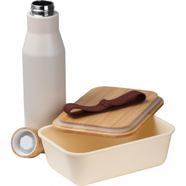 Logo trade promotional giveaway photo of: Set Lunchbox with stainless steel bottle Toronto