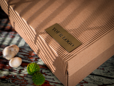 Logotrade promotional merchandise image of: 