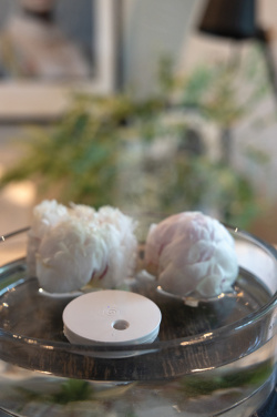 Logotrade business gift image of: Breevia RCS rplasic re-chargeable floating humidifier