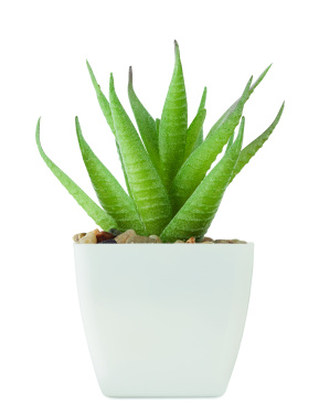 Logo trade promotional gifts image of: Mini artificial plant
