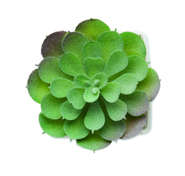 Logo trade promotional gift photo of: Mini artificial plant