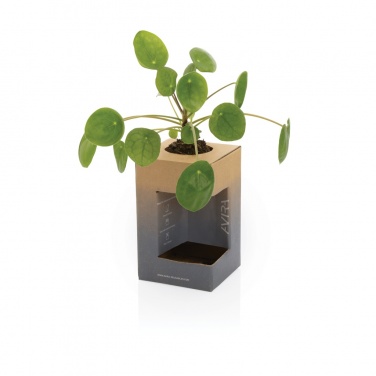 Logotrade reklaamkingituse foto: Avira Alya RCS Re-steel termostops 300 ml