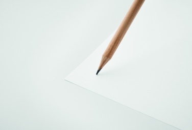 Logo trade ärikingitused foto: Naturaalne pliiats seemnetega kotis