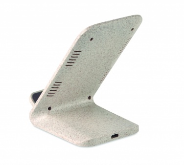 Logotrade ärikingituse foto: Nisukõrre/ABS laadija std10W