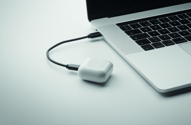 Logo trade firmakingitused foto: CAWATT 4 in 1 kaabli pistikute komplekt 15W