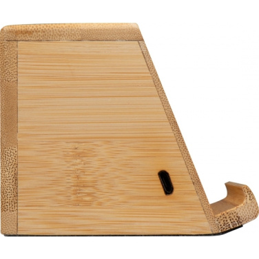 Logotrade mainoslahjat kuva: Induktiokaiutin NUREMBERG