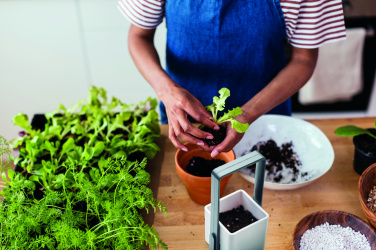 Logotrade mainoslahja tuotekuva: Sisäpuutarha LED-valolla