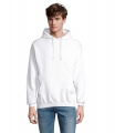 CONDOR Unisex Hoodie, Aska